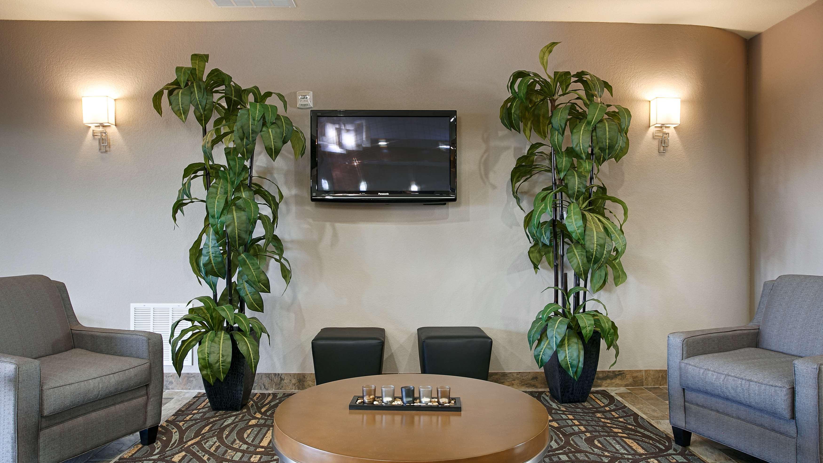 Best Western Plus Fort Worth Forest Hill Inn & Suites Kültér fotó